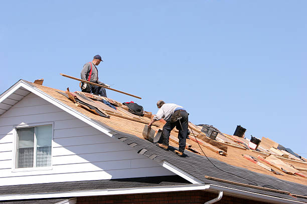 Best Roof Coating Services  in Cloquet, MN